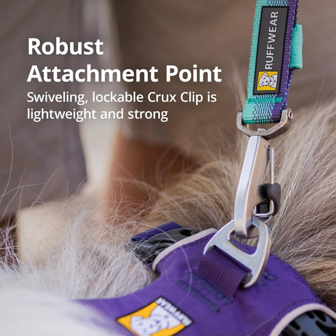 Ruffwear, Front Range Short Traffic Leash with Padded Handle, 15-inch (38cm) Durable Short Dog Lead for Training and Walking, Basalt Gray...