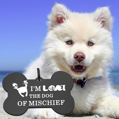 ENSIANTH Funny Dog Collar Tags Dog of Mischief Gift Dog Owner Gift Dog Lover Gift Pet Owner Gift Pet Collar Tags (Dog of Mischief)...