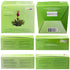 Creano Tea Flowers Mix - Blooming Green Tea, Fruity Flavoured (Roses in 6 Varieties), Flowering Set...