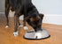 Iconic Pet 2 Cup Heavy Weight Non-Skid Easy Feed High Back Pet Bowl For Dog Or Cat (2 Pack), 16 Oz...