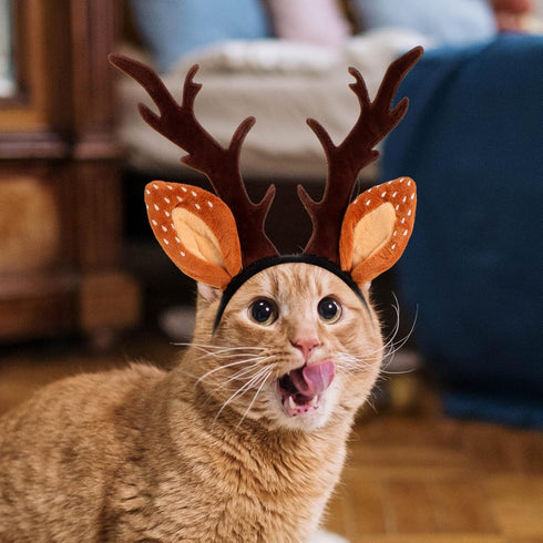 Beaupretty Christmas Hat for Cat Pet Deer Costume Hat Dog Reindeer Costume Elastic Band Adjustable Antler Headband Cat Costume Cat Christmas Antle...