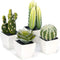 Artificial Mini Succulent & Cactus Plants in White Cube-Shaped Pots for Home Decor, Set of 4...