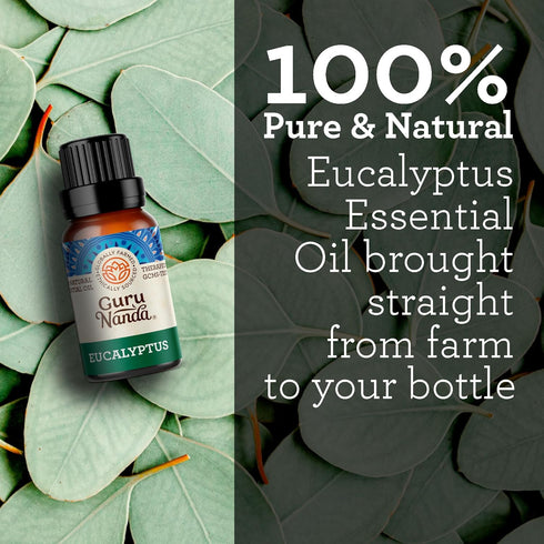GuruNanda Eucalyptus Essential Oil -100% Pure, Natural and Undiluted Aromatherapy Oil for Diffusers - Aids in Congestion Relief - Perfect for Mass...