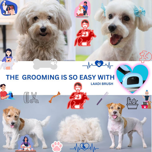 Deshedding Tool for Dogs and Cats - Reduces Shedding by Up to 95% in Less Than 10 Minutes—best Choice for Grooming and Deshedding Your Lovely Pets...
