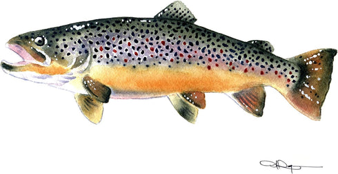 Brown Trout Watercolor Art Print By Artist DJ Rogers...