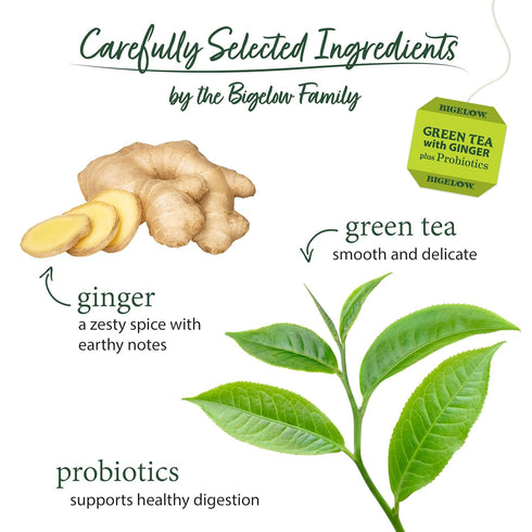 Bigelow Tea Green Tea with Ginger Plus Probiotics, Caffeinated Tea with Ginger, 18 Count Box, (Pack of 6), 108 Total Tea Bags...