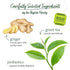 Bigelow Tea Green Tea with Ginger Plus Probiotics, Caffeinated Tea with Ginger, 18 Count Box, (Pack of 6), 108 Total Tea Bags...