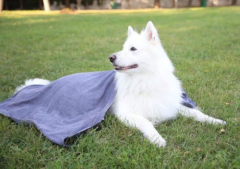 oyapet® Dog Towel Super Absorbent Large Microfiber Towel Dog Bath Towels for Drying Dogs Large (Dog Towels Pet Bath and Grooming- Grey - Large - 3...