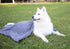 oyapet® Dog Towel Super Absorbent Large Microfiber Towel Dog Bath Towels for Drying Dogs Large (Dog Towels Pet Bath and Grooming- Grey - Large - 3...