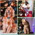 60 Pcs Plaid Dog Collar Flowers Bulk Pet Flower Collar Bow Ties Holiday Dog Accessories Charms Slide Attachment for Small Medium Large Dog Cat Pup...