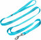 Blueberry Pet Essentials Double Handle Dog Leash for Traffic Control | 5ft. x 3/8" X-Small Dog Leash | Classic Dog Leash with Two Handles for Dogs...