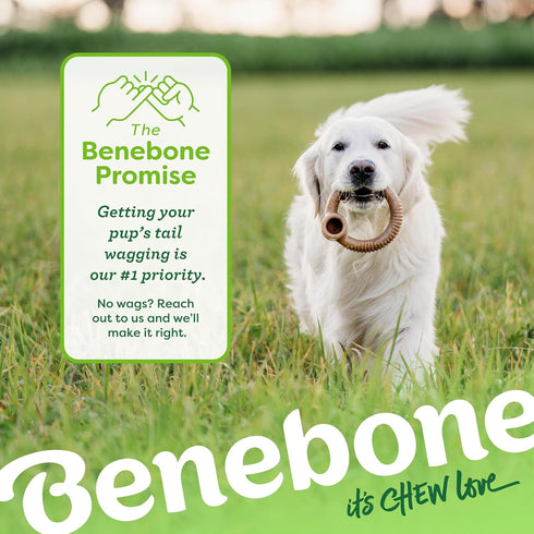 Benebone Ring Durable Dog Chew Toy for Aggressive Chewers, Real Bacon, Made in USA, Small...