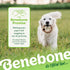 Benebone Ring Durable Dog Chew Toy for Aggressive Chewers, Real Bacon, Made in USA, Large...
