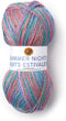 Lion Brand Yarn Summer Nights Bonus Bundle Yarn, Tropical Punch (1 skein/ball)...