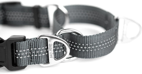 Mighty Paw Martingale Nylon Training Collar. Our Trainer Approved Limited Slip Collar. Modified Cinch Collar for Controlled Force for Optimal Trai...