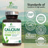Calcium Supplement with Vitamin D - 1200 mg Calcium Carbonate with 1600 IU of D3 Vitamins - Supports Bone Strength, Teeth & Immune System - Natura...