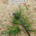 Weed Puller Tool Gardening Tools Set of 2 Uprooting Weed Pulling Tool, 4 Teeth Manganese Steel Forged Weeding Tool for Vegetable, Portable Hand We...