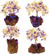 mookaitedecor Citrine & Amethyst Crystal Tree, Quartz Cluster Purple Titanium Crystals Base Bonsai Money Tree for Wealth and Luck...