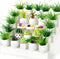 26Pcs Miniature Potted Plants, Mini Artificial Plants, 1:12 Scale Doll House Accessories, Suitable for Dollhouse Decoration, Christmas Birthday Gi...