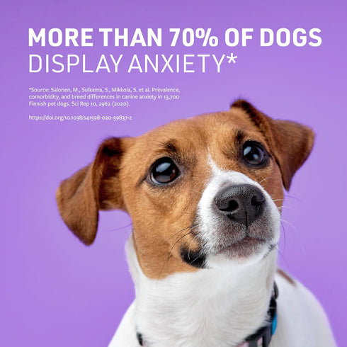 Veterinary Formula Smart Vitality Pet Calm Supplement for Dogs - Soft Chews, 30ct - Promotes a Sense of Relaxation During Moments That May Cause S...