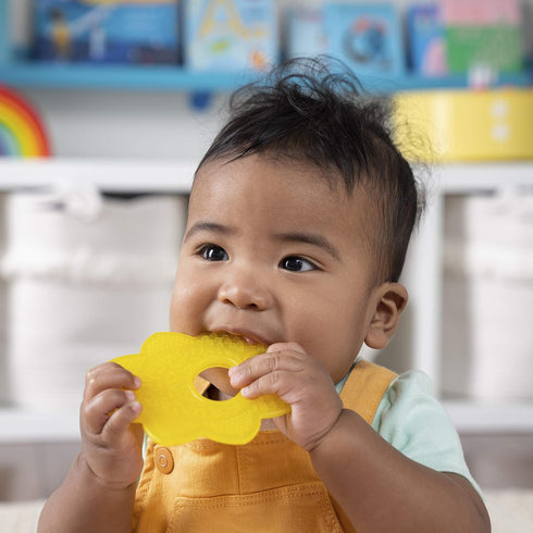 Bright Starts Teeth Relief 8pc Gift Set - BPA-Free Baby Teethers, Refrigerated Teething Toys, Unisex, 3 Months+...