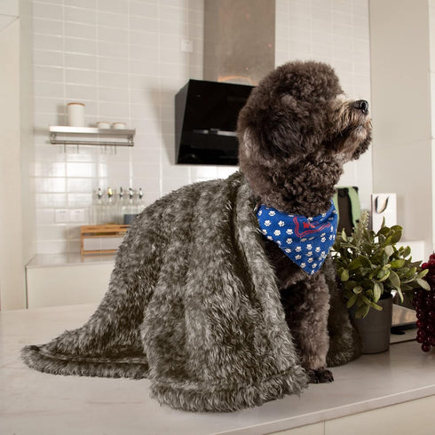 MACEVIA Fluffy Fleece Dog Blankets, Warm Soft Fuzzy Pets Blankets for Puppy, Small, Medium, Large Dogs and Cats, Plush Pet Throws for Bed, Couch, ...