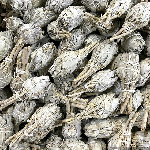 12 California White Sage Smudge Sticks, 3 to 4 Inch Hand Tied, All Natural for Home Cleansing, Stress Relief, & Clearing Negative Energy JC-005...