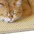 Cat Scratcher Mat, 23.6x15.7” Natural Sisal Scratching Mat with Velcro Tape,Stick on Floor and Wall Cat Scratch Pad Rug, Horizontal Cat Scratch Ma...