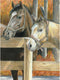 Royal Brush Color Pencil by Number Kit, 8.75 by 11.75-Inch, Buck's Pal...