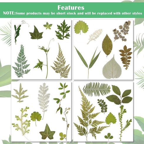 Timtin 84 Pieces Dried Pressed Leaves Flowers for Resin Mini Dried Flowers for Crafts Greenery Assorted for Art DIY Handmade Bookmarks 4 Bags(Vivi...