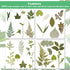 Timtin 84 Pieces Dried Pressed Leaves Flowers for Resin Mini Dried Flowers for Crafts Greenery Assorted for Art DIY Handmade Bookmarks 4 Bags(Vivi...