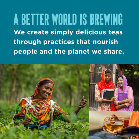 Teatulia Organic Earl Grey Tea Bags (50 Pyramid Sachet Teabags) Whole Leaf Flower 100% Compostable Black Tea + Bergamot Citrus Sustainably Grown I...