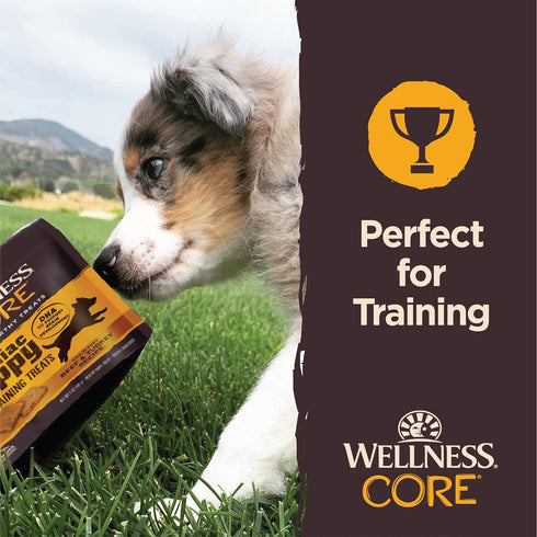 Wellness CORE Brainiac Puppy Soft Training Dog Treats (Previously Puppy Bites), Grain Free, Beef & Turkey, 5 Ounce Bag...