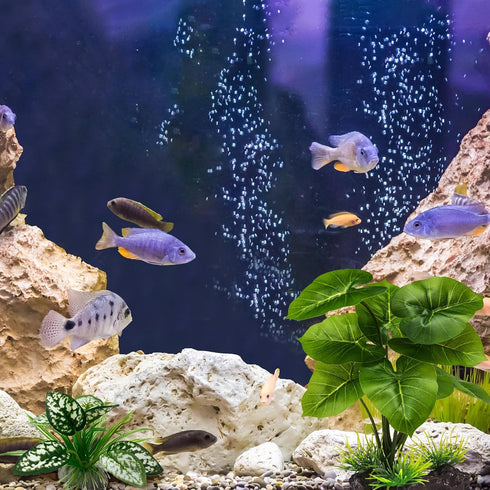 Reptile Artificial Plants, Terrarium Plants Decorations Supplies, Aquarium Fish Tank Plant, Amphibian Habitat Hideout Tank Accessories (M Set-2pcs...
