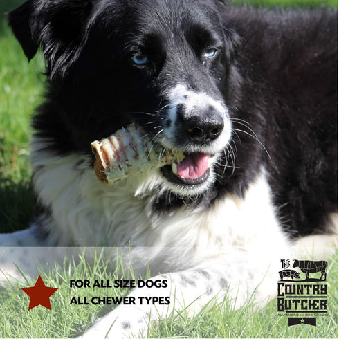 Filled Beef Trachea Dog Treats, Glucosamine and Chondroitin for Joint Health, Natural, Tough, Stuffed Chew Toy, Made in The USA, Chicken N Rice, 5...