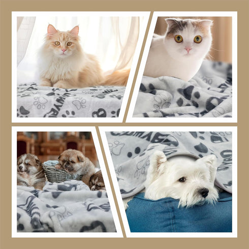 Dog Blanket, Premium Soft Dog Blanket Washable, 41x31inch Puppy Essentials Dog Product Cat Blankets Throw for Medium Small Dogs, Pet Dog Gifts, 20...