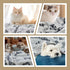 Dog Blanket, Premium Soft Dog Blanket Washable, 41x31inch Puppy Essentials Dog Product Cat Blankets Throw for Medium Small Dogs, Pet Dog Gifts, 20...