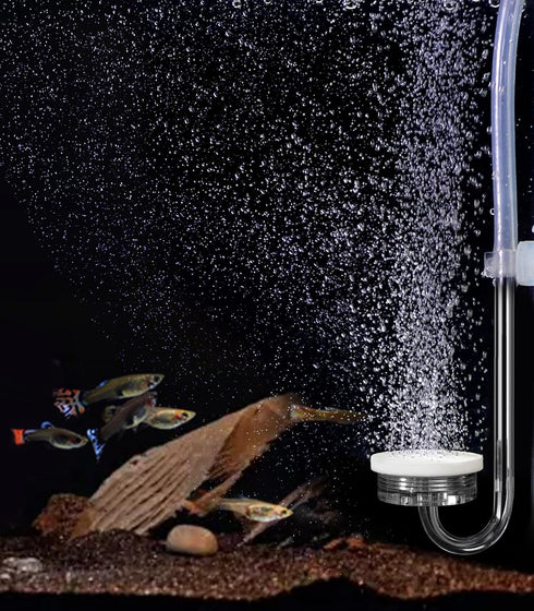 Small Air Pump for Fish Tank Aquarium Aerator for 1-15 G Super Quiet 1.5 Watts, Complete kit...