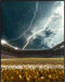 Posterizer 1 pcs-football-soccer field with storm clouds and lightning-Sports & Hobby Art Gifts for sports fans Decor for Home & Office- unframed ...