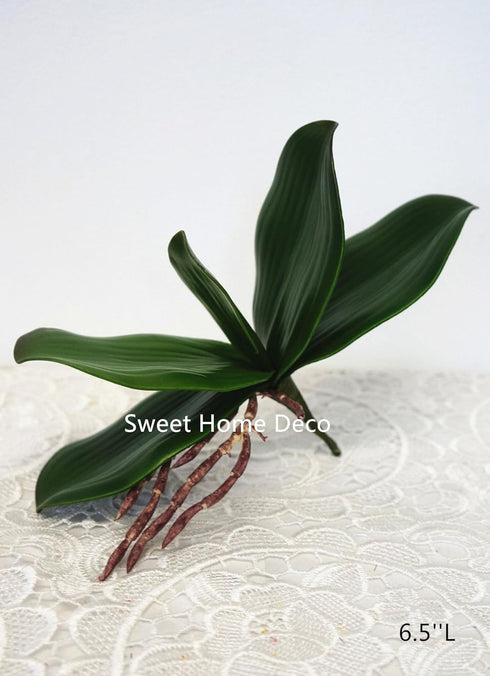Sweet Home Deco Gel Coated Phanaenopsis Orchid Artificial Greenery Leaf with Realistic Roots Set of 2 (1, 6.5''L)...