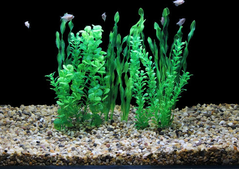 AQUANEAT Fish Tank Decorations, Aquarium Plants Plastic, Fish Tank Plants, 10packs...
