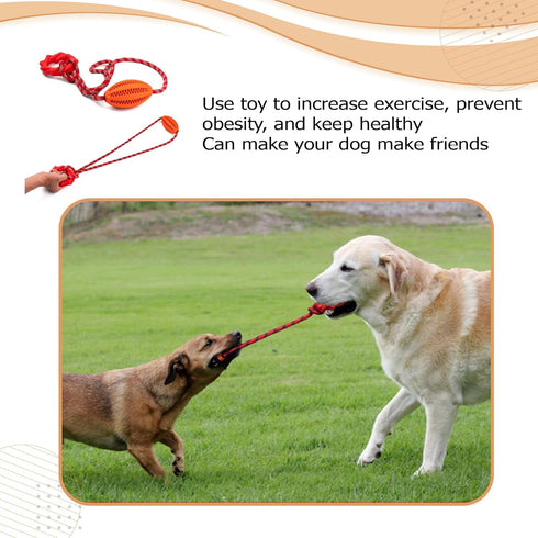 Interactive Dog Chew Toy with Rope for Aggressive Chewers - Tugging and Tossing - Puppy Training - Dispenses Treats and Food - Toothbrush for Pet ...