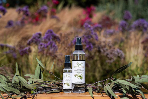 EuroSpa Aromatics Pure Eucalyptus Oil ShowerMist and Steam Room Spray, All-Natural Premium Aromatherapy Essential Oils - Pure Eucalyptus, 2oz...