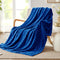 Whale Flotilla Flannel Fleece Throw Blanket for Couch Sofa Bed, Soft Velvet Lightweight Throws Plush Fluffy Chevron Design Decorative Blankets for...