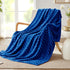 Whale Flotilla Flannel Fleece Throw Blanket for Couch Sofa Bed, Soft Velvet Lightweight Throws Plush Fluffy Chevron Design Decorative Blankets for...