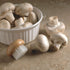 Fox Run Wood Mushroom Brush, Nylon Bristles 2 x 2 x 1.25 inches...