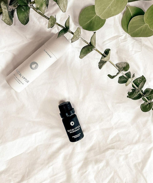 Bursera Eucalyptus Essential Oil, Tree Planted with Every Order, 100% Pure Eucalyptus Oil, 10ml Undiluted High Grade Natural Eucalyptus Oils for D...