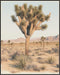 Posterizer 1 pcs-minimalist desert with trees and hills-Landscape & Nature Art-Workplace & Office Art-Living Room Bedroom Decor- unframed wall art...