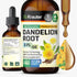 BIO KRAUTER Dandelion Root Extract - Alcohol & Sugar Free Dandelion Tinture - Vegan Supplement for Cleansing & Immunity - 2 Fl. Oz - 28 Days of Su...