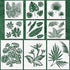 9 Pieces Reusable Painting Stencil Tropical Stencil Plastic Paint Stencils Summer Pattern Drawing Templates Stencils Reusable Craft for Painting(L...